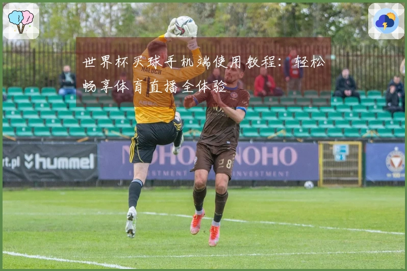 世界杯买球手机端使用教程：轻松畅享体育直播全体验