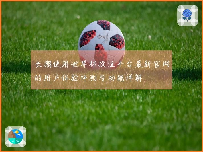 长期使用世界杯投注平台最新官网的用户体验评测与功能详解