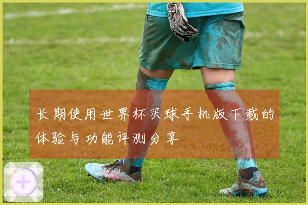 长期使用世界杯买球手机版下载的体验与功能评测分享