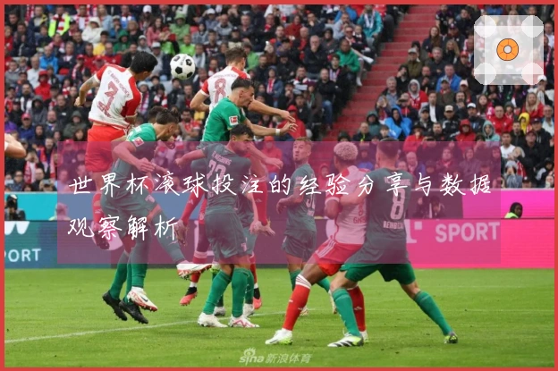 世界杯滚球投注的经验分享与数据观察解析