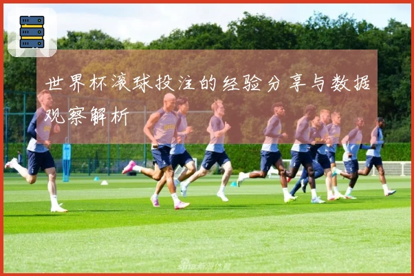 世界杯滚球投注的经验分享与数据观察解析