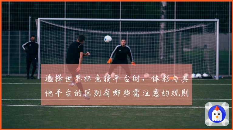 选择世界杯竞猜平台时，体彩与其他平台的区别有哪些需注意的规则？