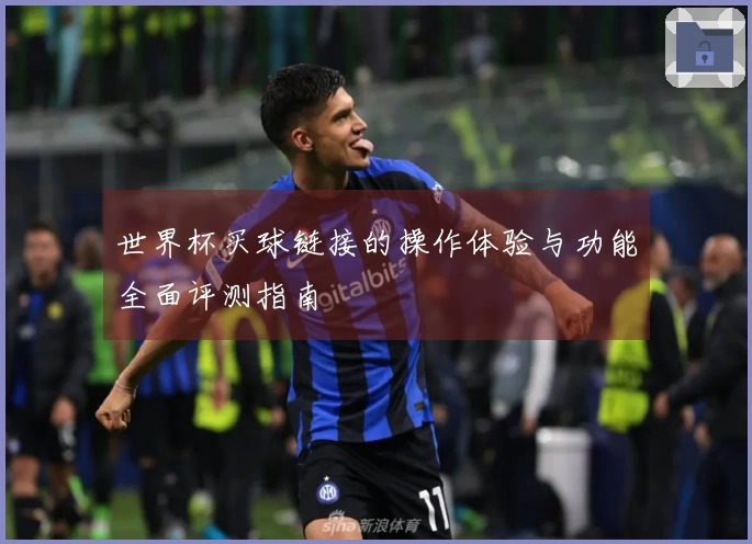 世界杯买球链接的操作体验与功能全面评测指南