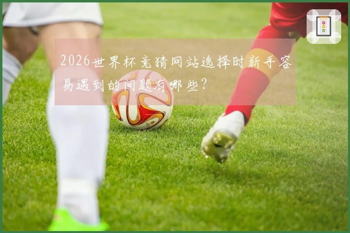 2026世界杯竞猜网站选择时新手容易遇到的问题有哪些？