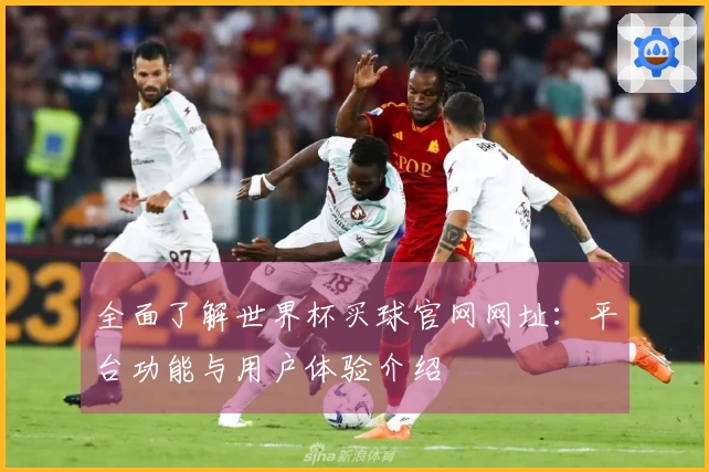全面了解世界杯买球官网网址：平台功能与用户体验介绍