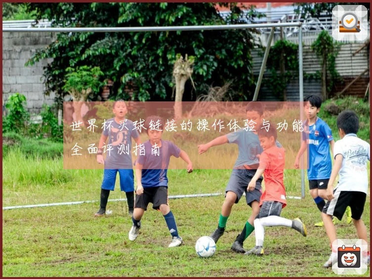 世界杯买球链接的操作体验与功能全面评测指南