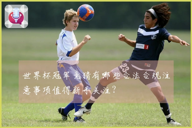 世界杯冠军竞猜有哪些合法合规注意事项值得新手关注？