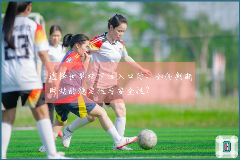 选择世界杯下注入口时，如何判断网站的稳定性与安全性？