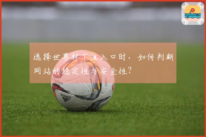 选择世界杯下注入口时，如何判断网站的稳定性与安全性？